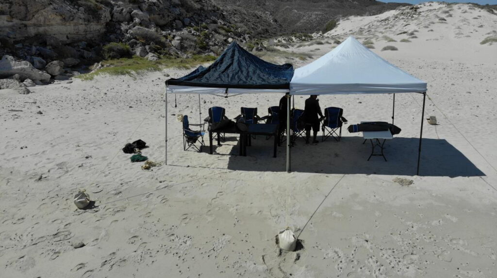 Azimut 100 SESTANTE Servicios Navieros, Embarcaciones La Paz, BCS