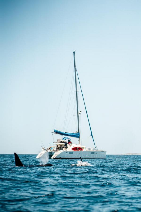 Embarcaciones, Horizon 85, SESTANTE, Servicios Navieros, La Paz